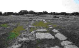 Historia - Salce de Sayago